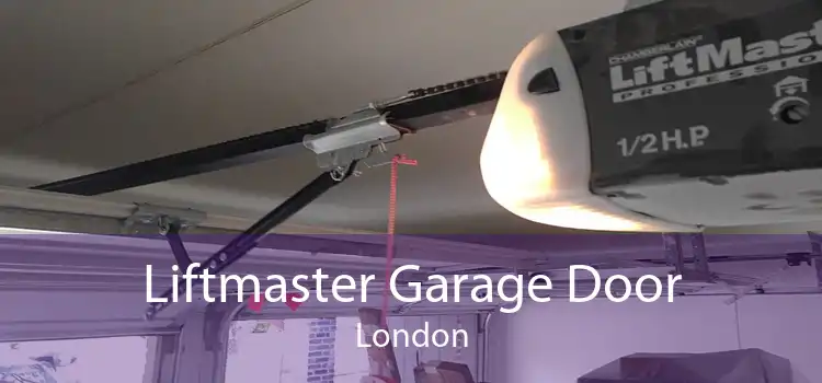 Liftmaster Garage Door London